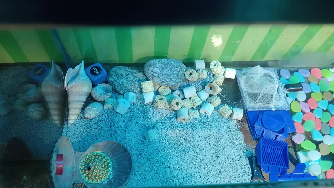 Fish Aquarium for Sale with Full Accessories — photo 5