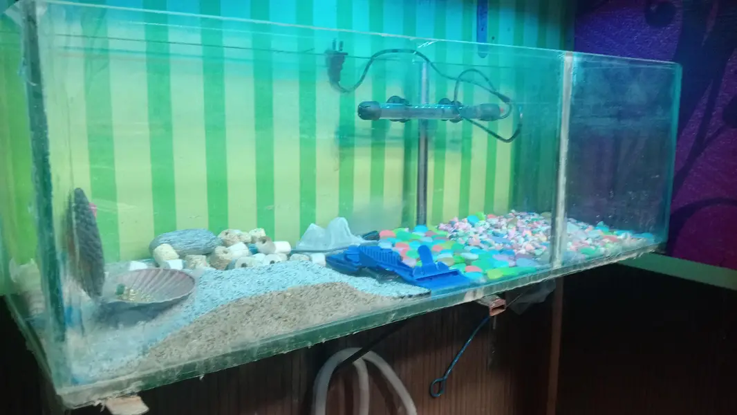 Fish Aquarium for Sale with Full Accessories — photo 6