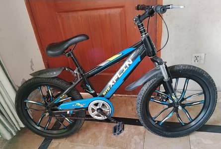 20 inch cycle   03056400623