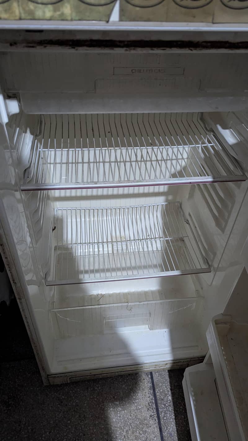 fridge 1