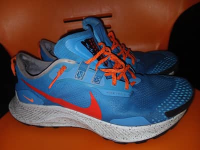 Nike Pegasus Trail (DA8697-400) orignal