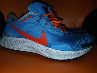 Nike Pegasus Trail (DA8697-400) orignal