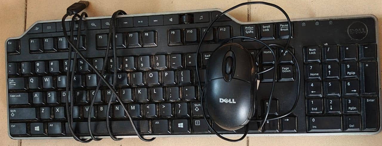 Dell  dual-core processor 1