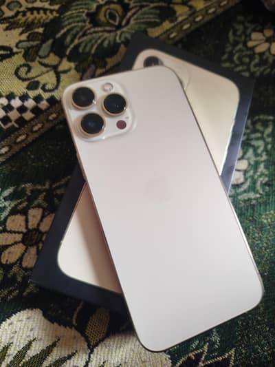 Apple iPhone 13 Pro Max