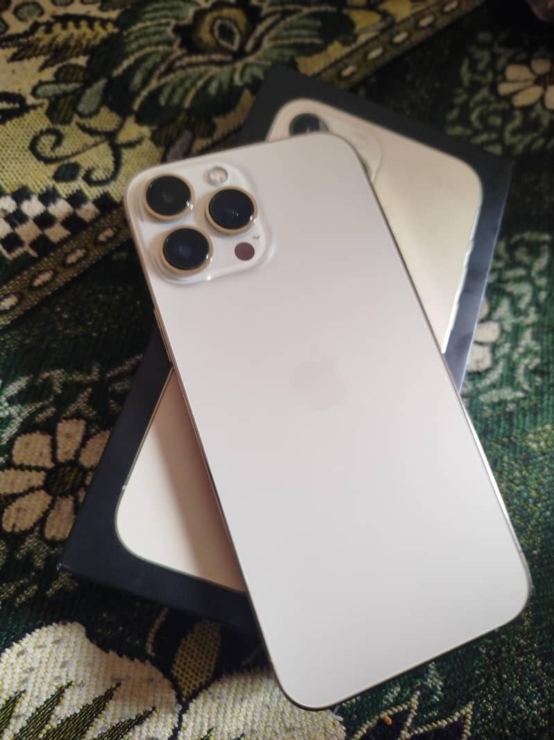 Apple iPhone 13 Pro Max 0
