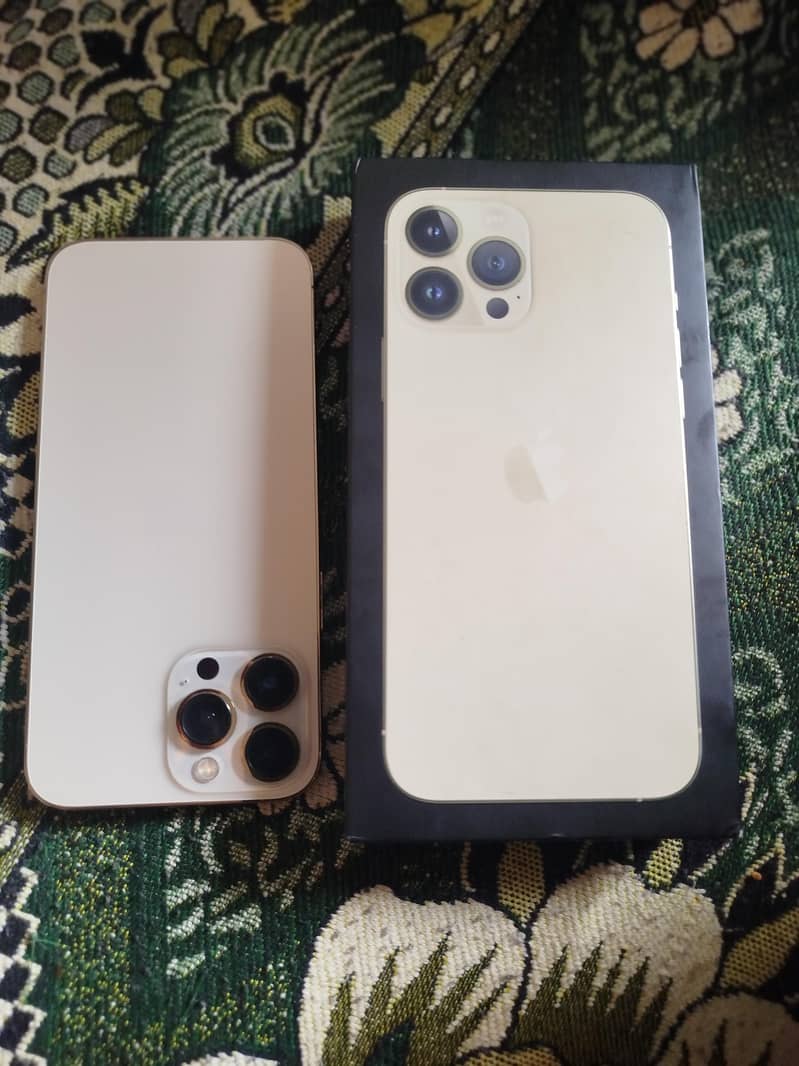 Apple iPhone 13 Pro Max 1