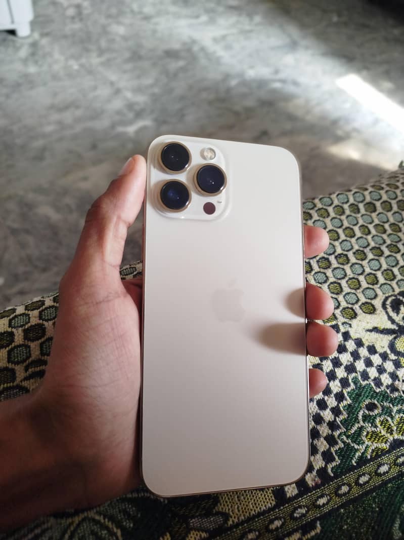 Apple iPhone 13 Pro Max 2