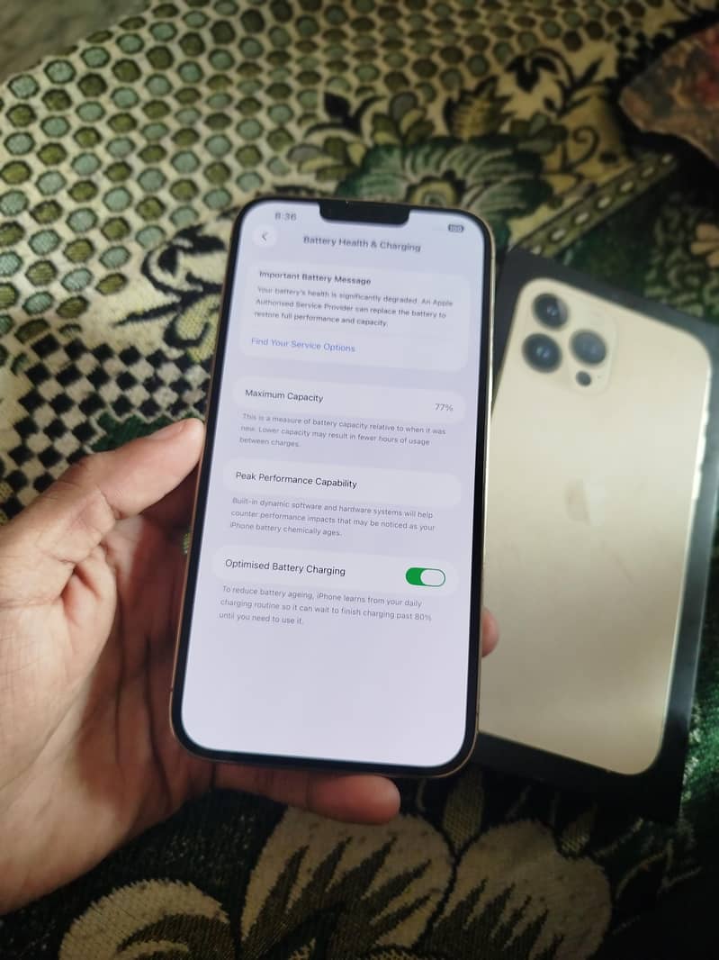 Apple iPhone 13 Pro Max 6