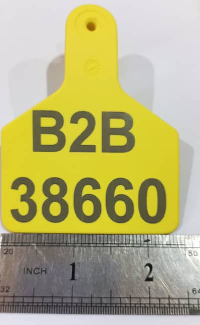 Cow Tag / Cattle Tag / Goat Tag / Ear Tag / Neck Tag / Tag for sale