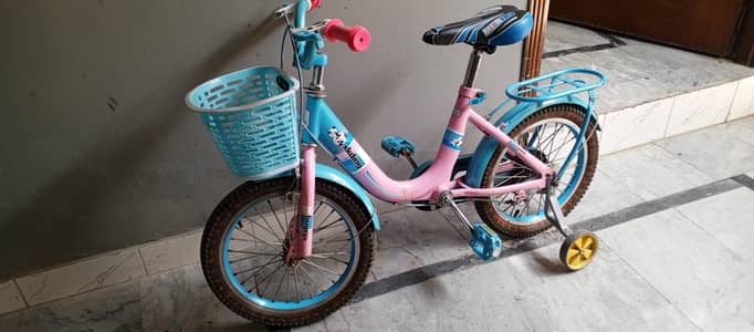Kids Bicycle for Sale