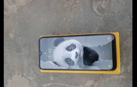 Realme C12