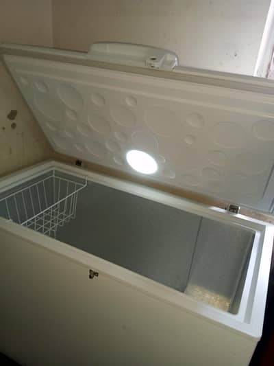 Haier D freezer