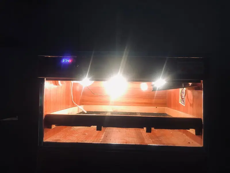 incubator — photo 3