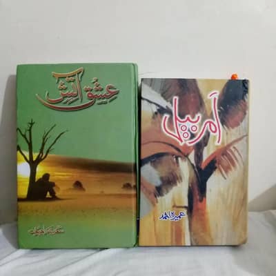 urdu fiction book pack of 2 Amarbail ish atish A5 multi colour
