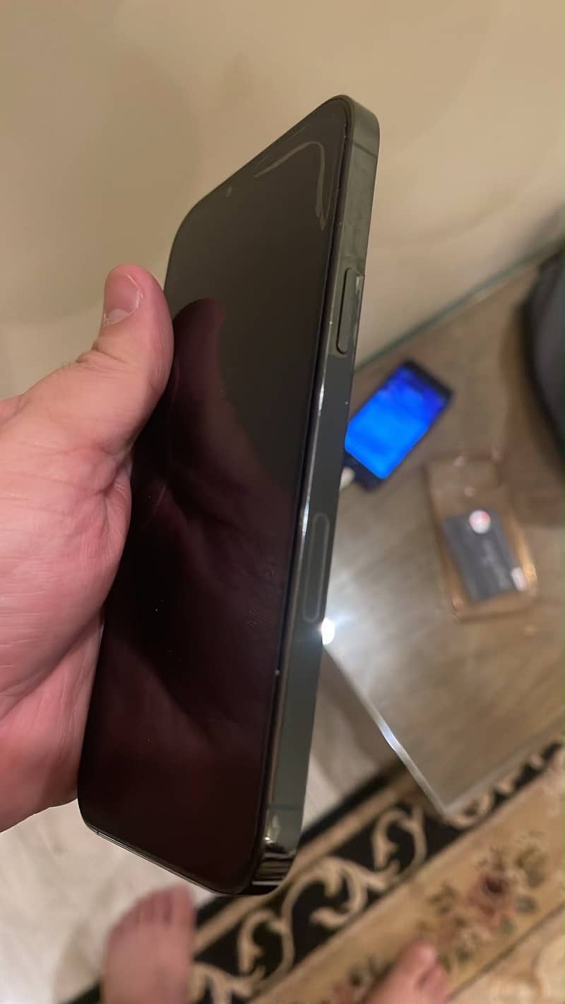 Apple iPhone 13 Pro Max 1