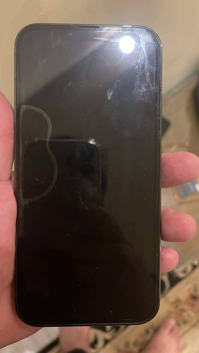 Apple iPhone 13 Pro Max 3