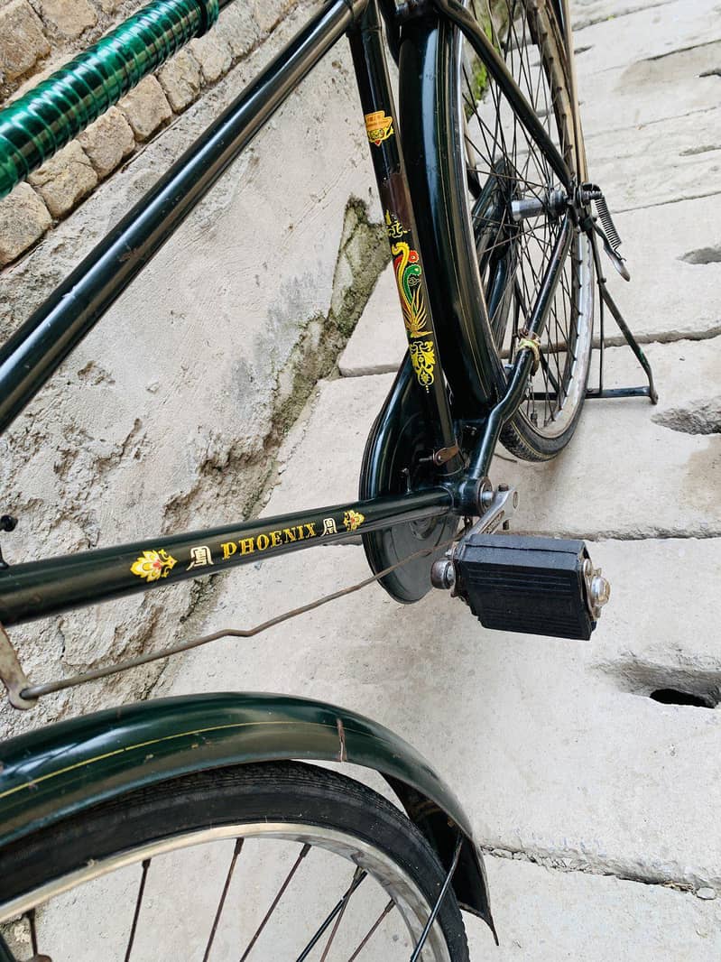 china cycle 1