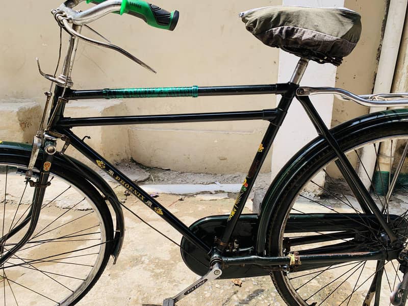 china cycle 6
