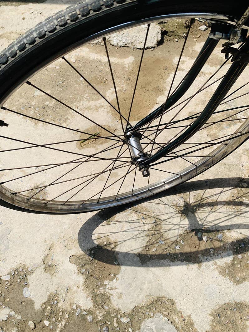 china cycle 9