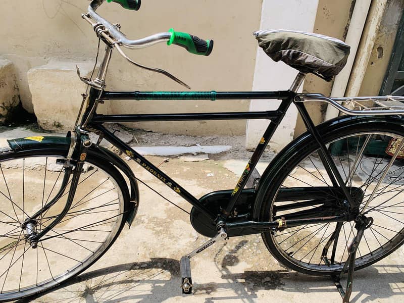 china cycle 10