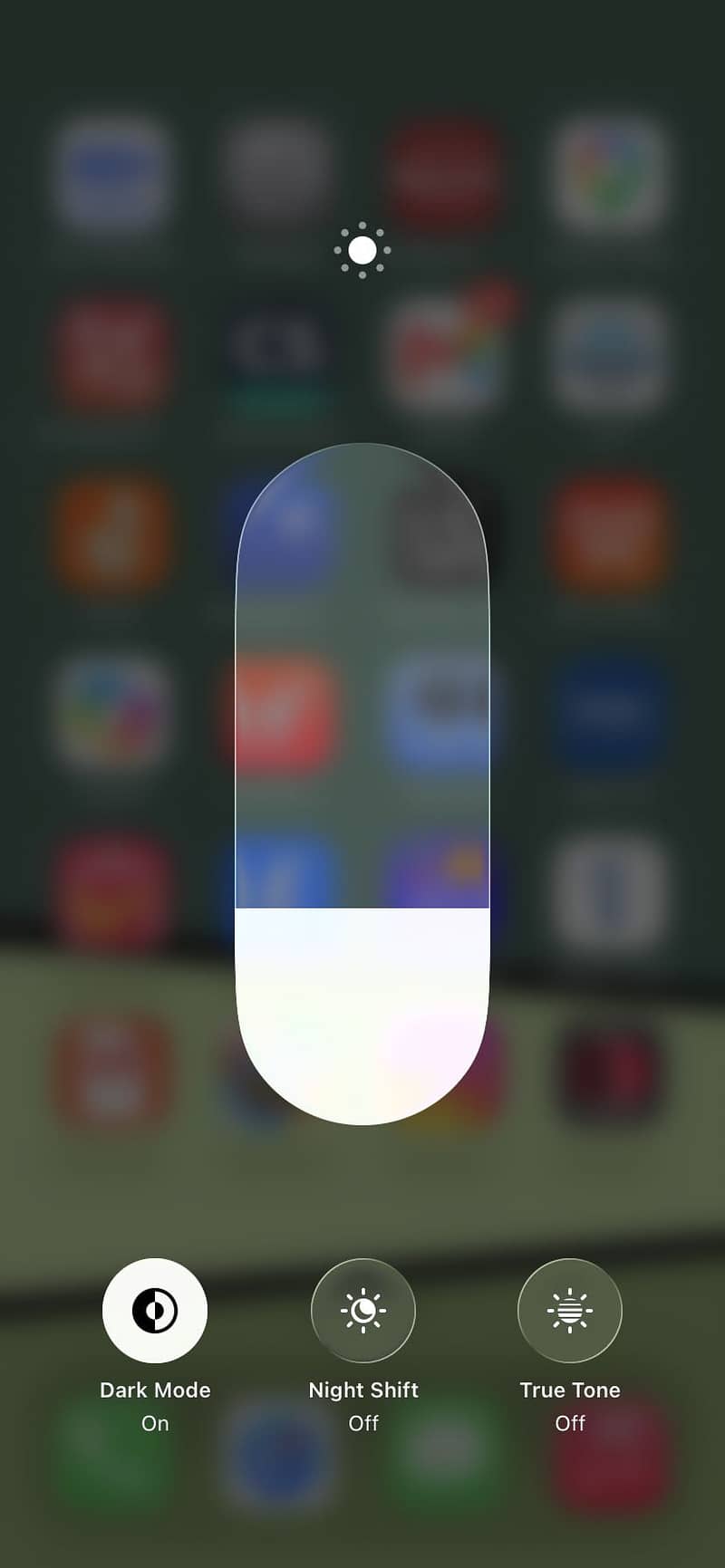 Apple iPhone 11 4