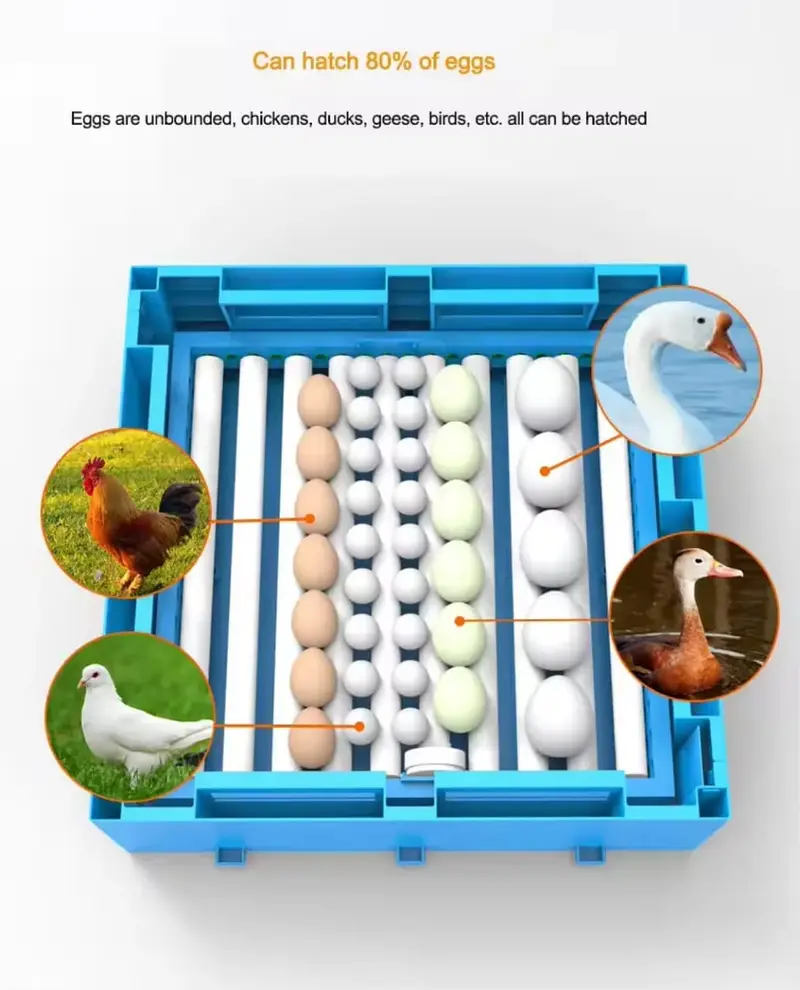 Intelligent Classic 64 eggs Hatch pro incubator fully automatic AC220 — photo 2