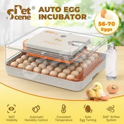 HHD Wonegg 56 eggs fully automatic hatchery machine incubator dual po