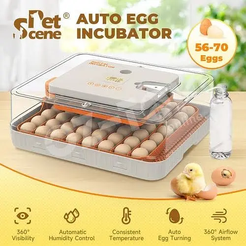 HHD Wonegg 56 eggs fully automatic hatchery machine incubator dual po