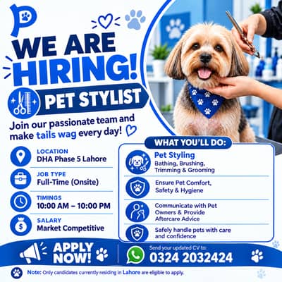 Pet Groomer / Stylist Required | Urgent Hiring | Male Jobs | Job