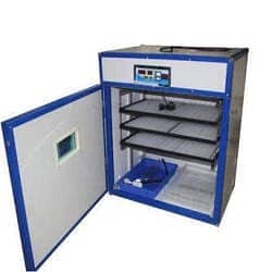 Incubators for sale | Incubator in Lahore | Hatching Machine | Autome