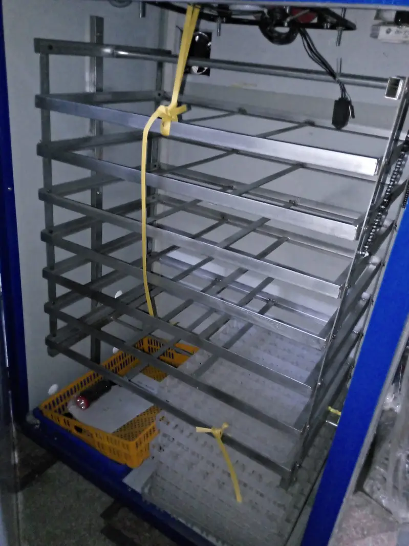 Incubators for sale | Incubator in Lahore | Hatching Machine | Autome — photo 6