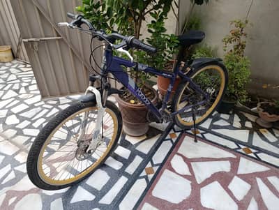 Apollo Paradox Mountain Bike