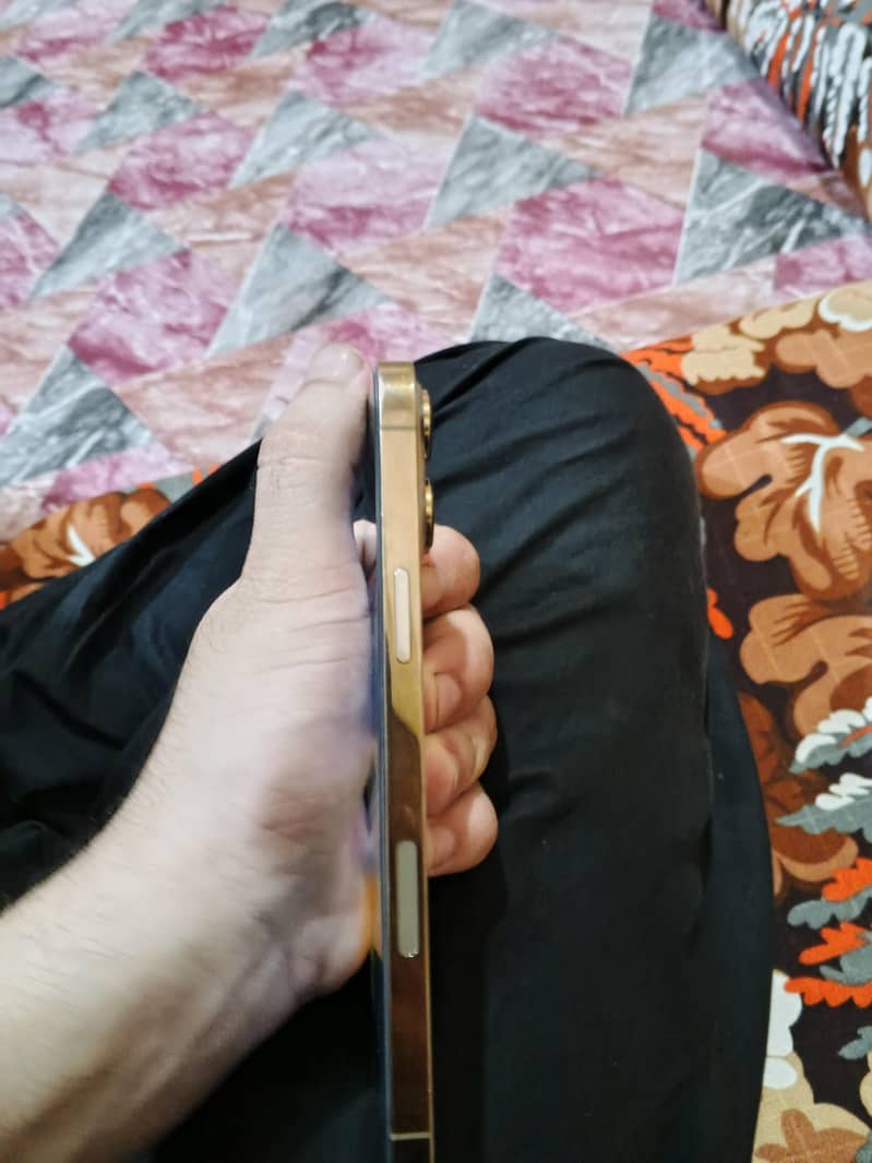 Apple iPhone 13 Pro Max 3