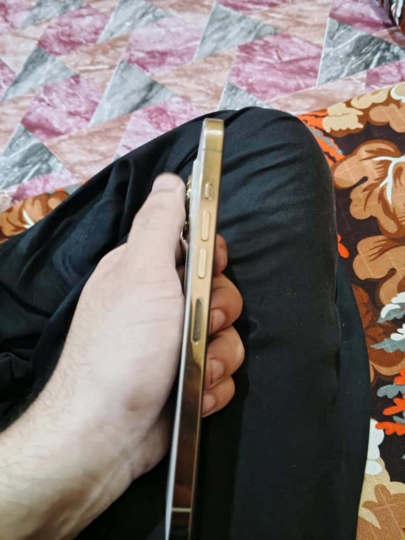 Apple iPhone 13 Pro Max 5