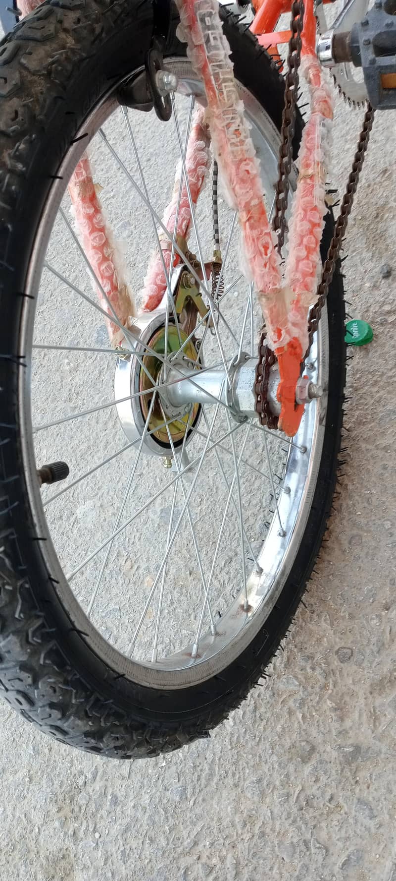 Cycle 6