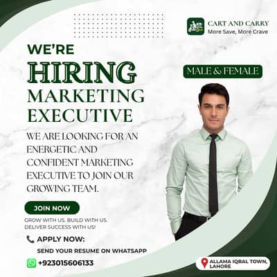 Marketing Exective