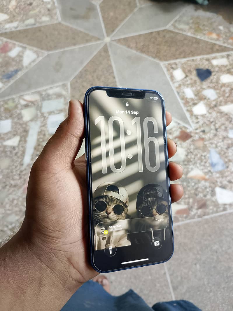 Apple iPhone 12 1