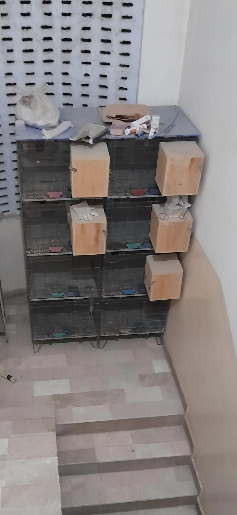 jhangeer cages