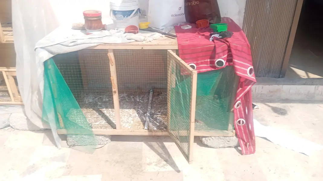 2 Vip Wooden Cages — photo 2