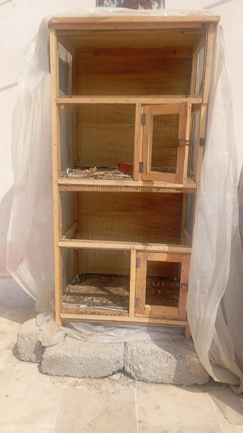 2 Vip Wooden Cages — photo 3