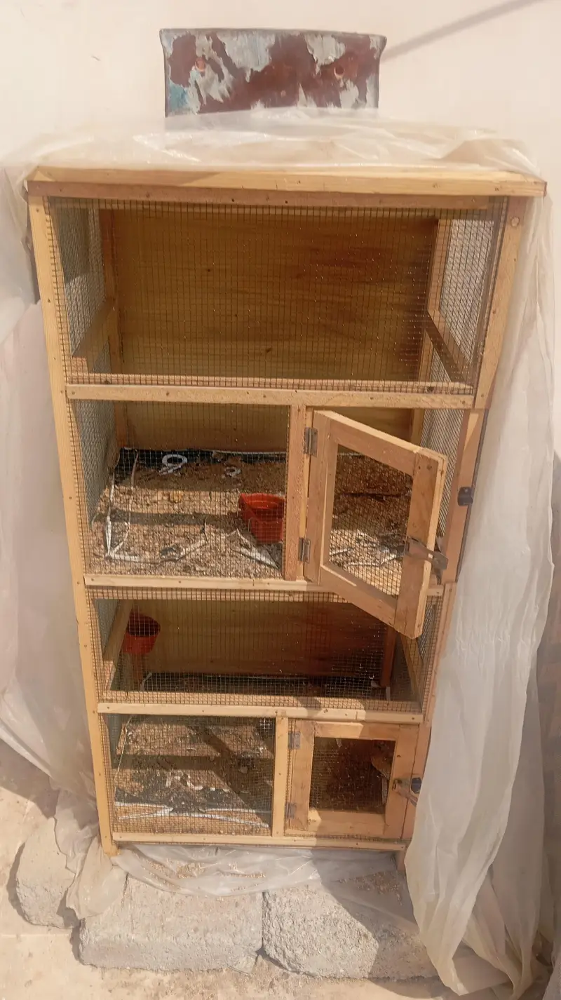2 Vip Wooden Cages — photo 4