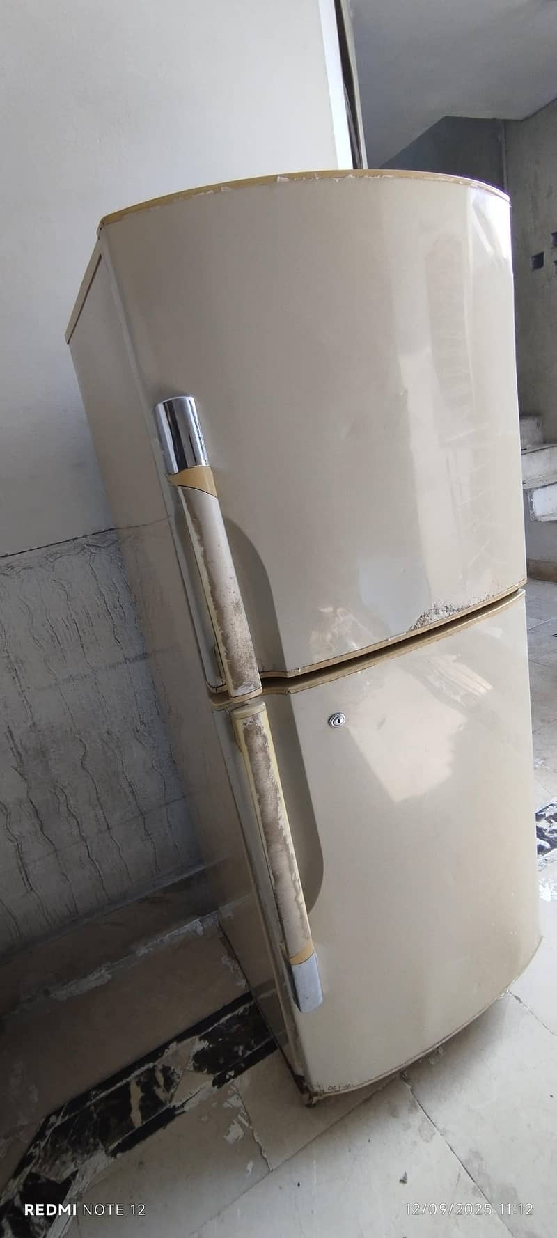 Dps Refrigerator 0
