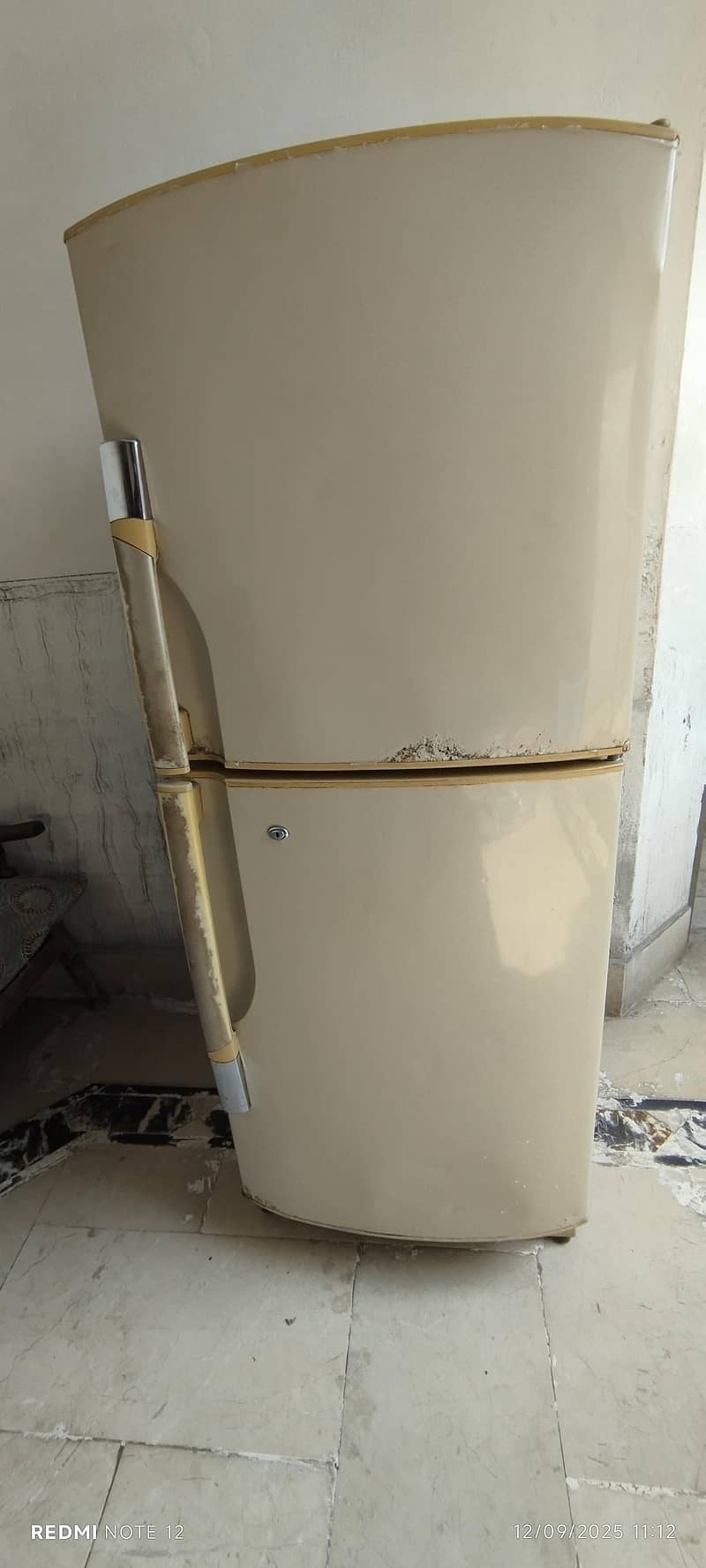 Dps Refrigerator 1