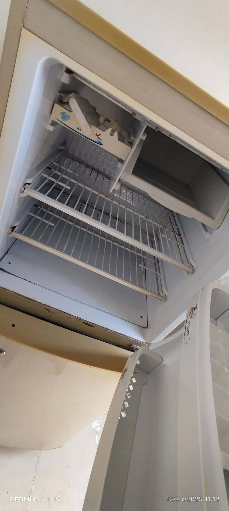 Dps Refrigerator 2