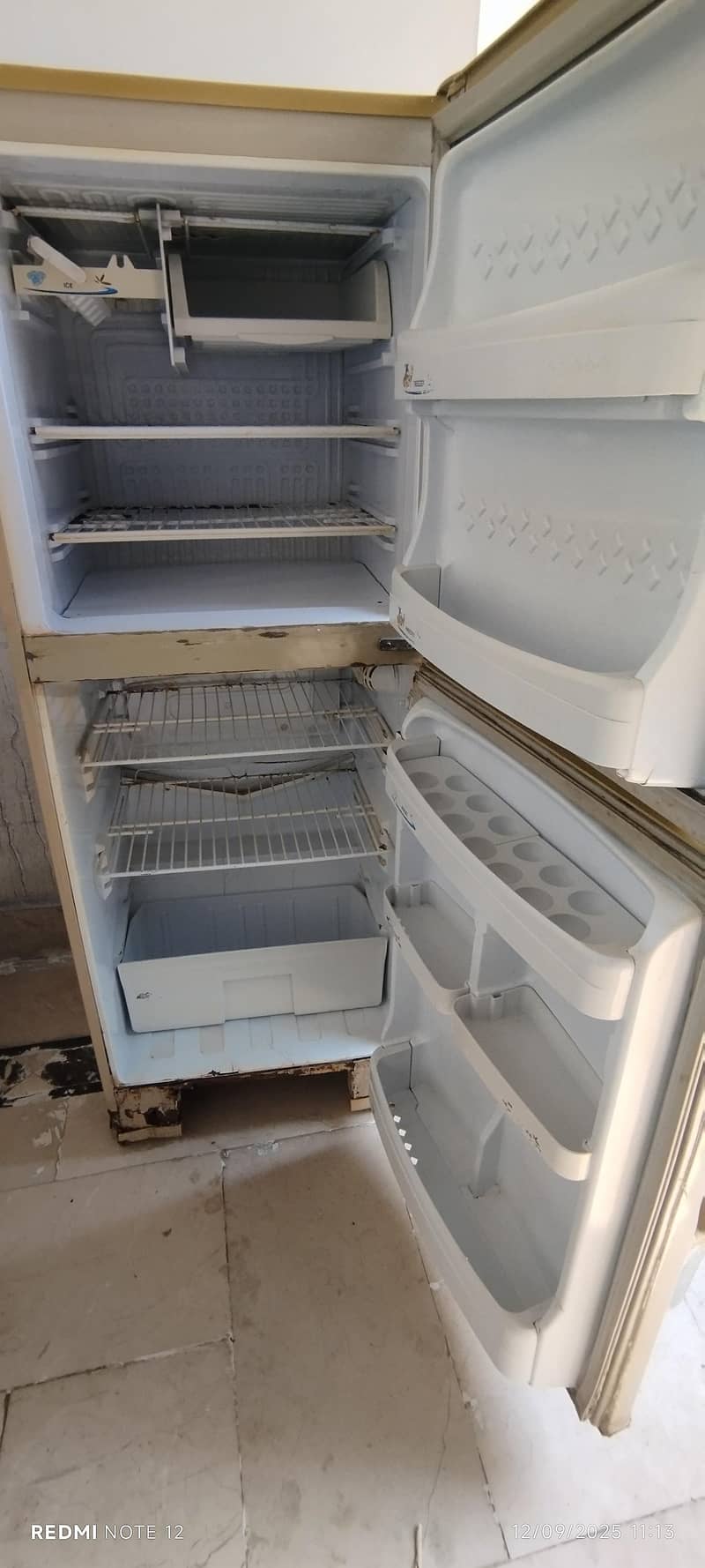 Dps Refrigerator 3