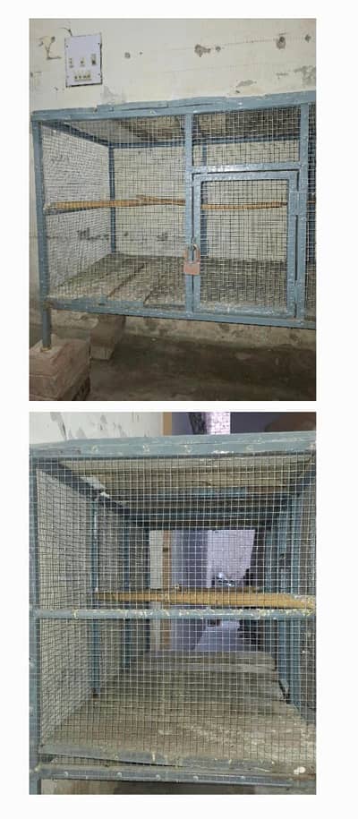 Cage 5ft by 2ft by 2.5ft