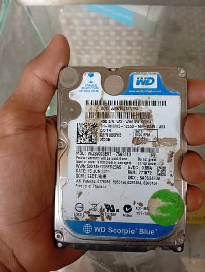 250GB Hard Disk For Sell