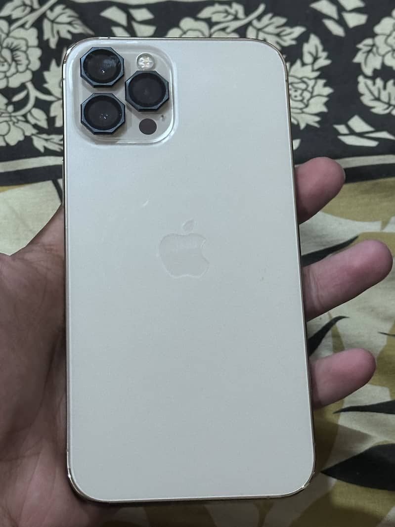 Apple iPhone 12 Pro Max 1