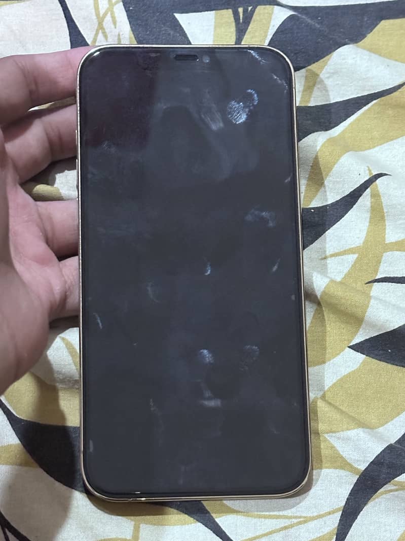 Apple iPhone 12 Pro Max 2