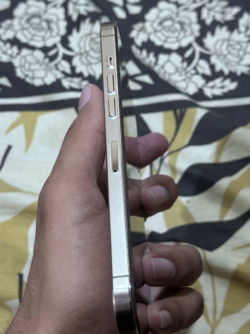 Apple iPhone 12 Pro Max 3